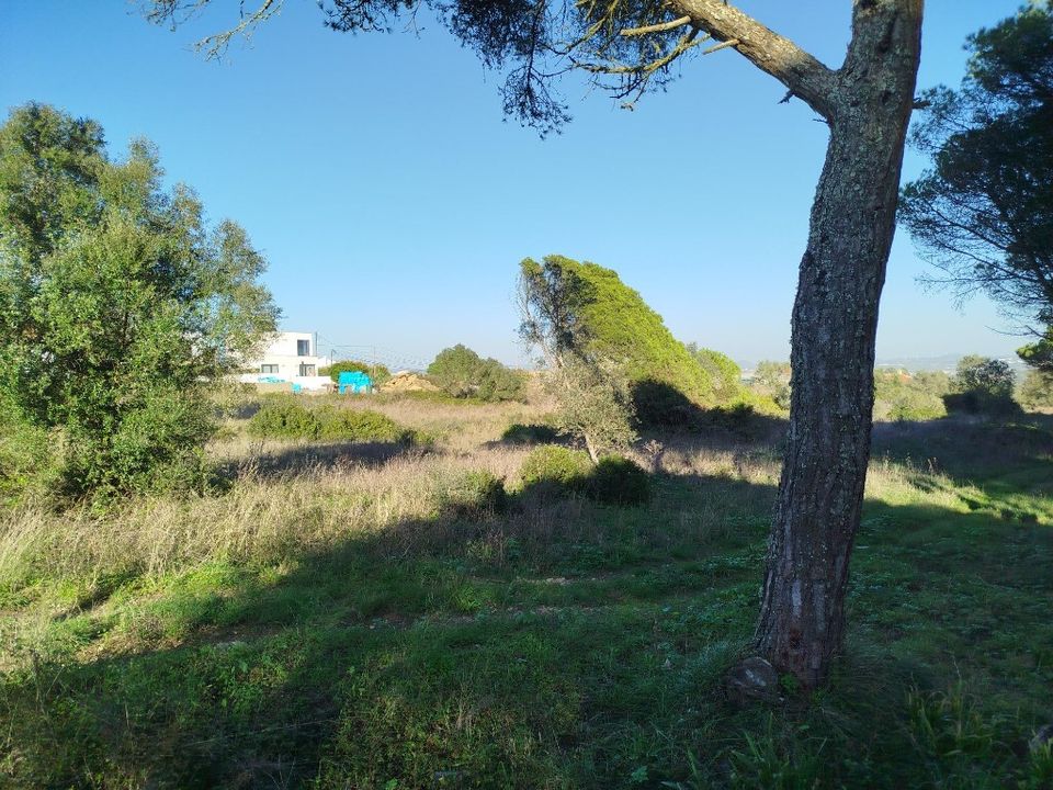 Helårsgrund i Sintra, Lisbon - foto 1