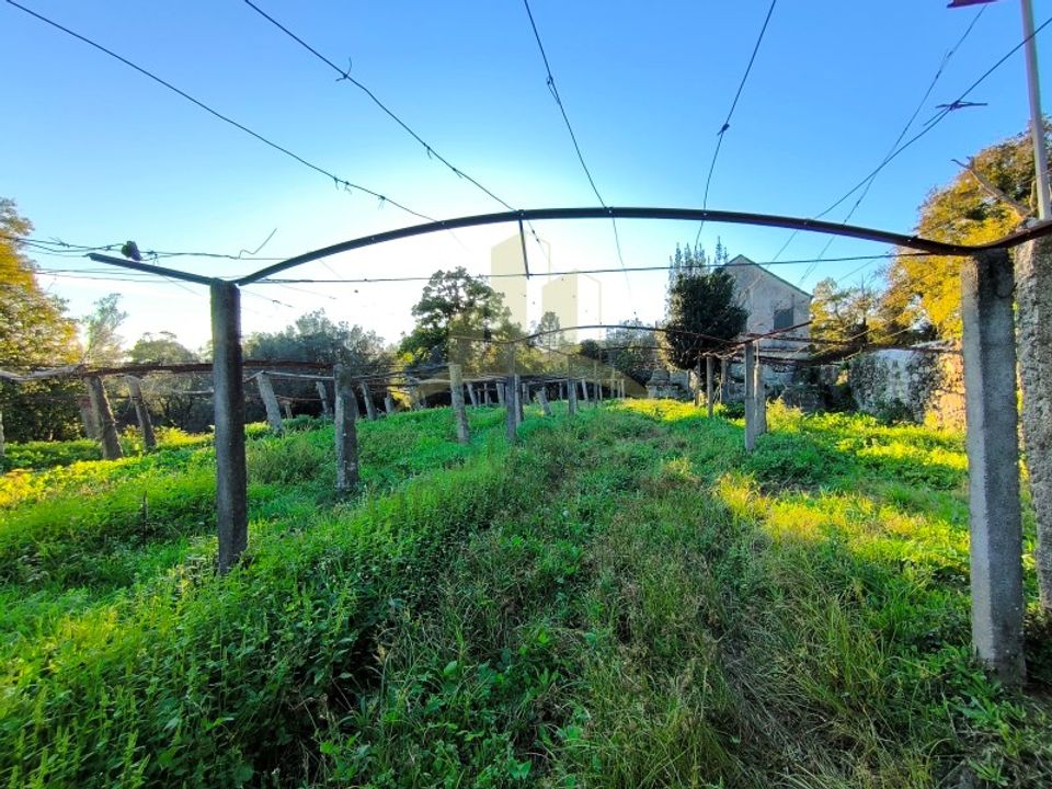 Farm i Viana do Castelo, Viana do Castelo - foto 5