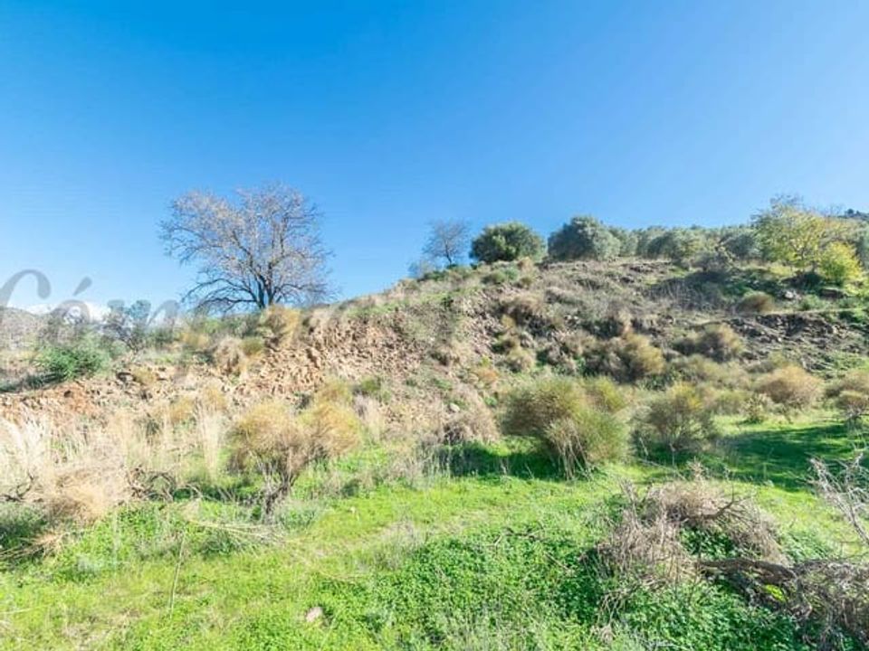 Helårsgrund i Torrox, Malaga - foto 2