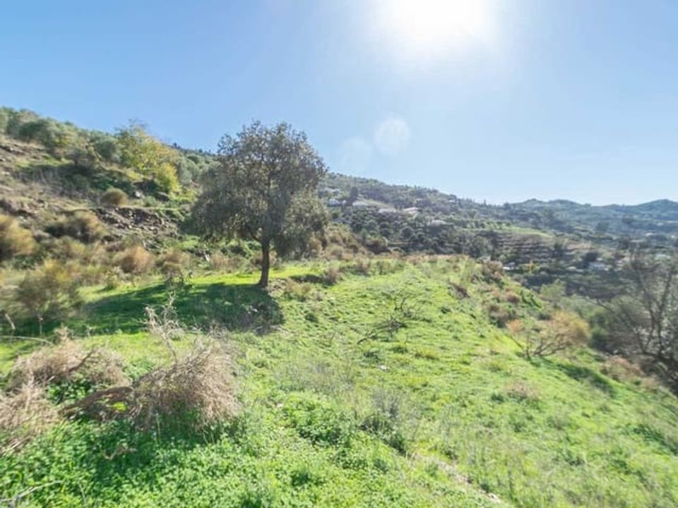 Helårsgrund i Torrox, Malaga - foto 3