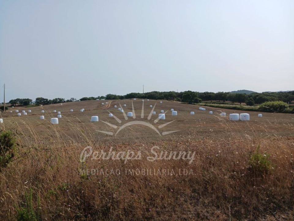 Tomt i Cercal do Alentejo, Setubal - bilde 1