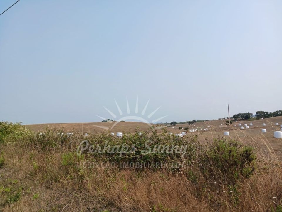 Tomt i Cercal do Alentejo, Setubal - bilde 2
