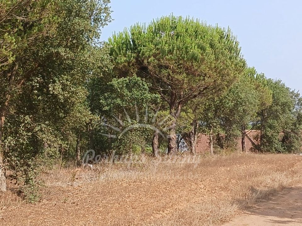 Tomt i Cercal do Alentejo, Setubal - bilde 3