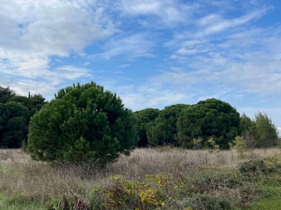 Helårsgrund i Agde, Herault - foto 1