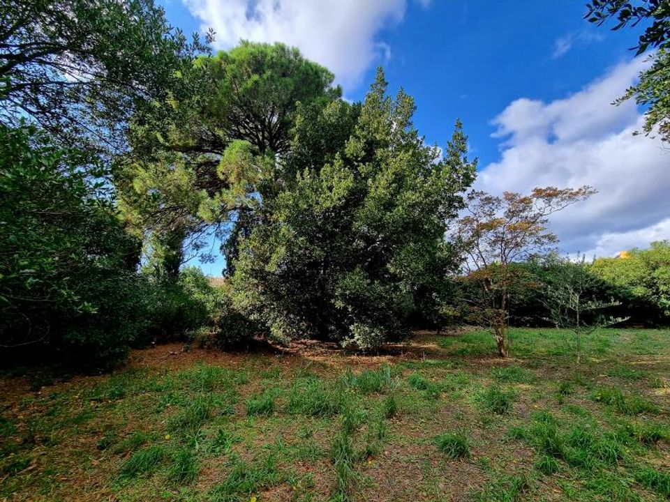 Helårsgrund i Pomérols, Herault - foto 2