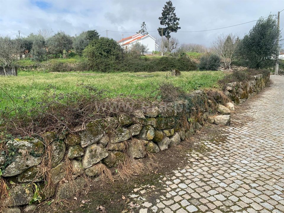 Helårsgrund i Mangualde, Viseu - foto 2