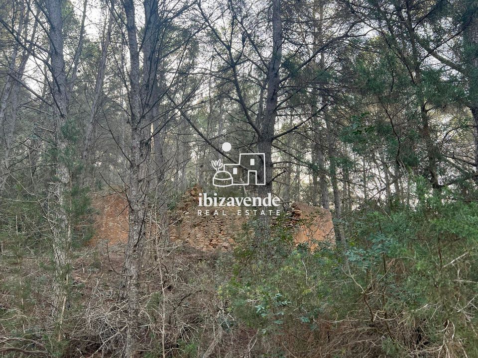 Finca i Santa Gertrudis De Fruitera, Ibiza - foto 1