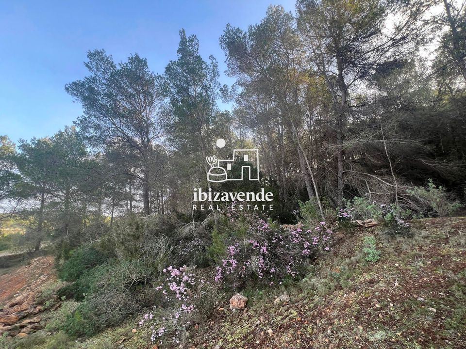 Finca i Santa Gertrudis De Fruitera, Ibiza - foto 2