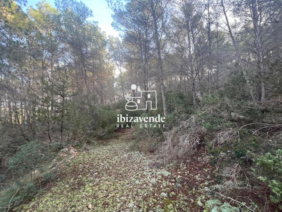 Finca i Santa Gertrudis De Fruitera, Ibiza - foto 3