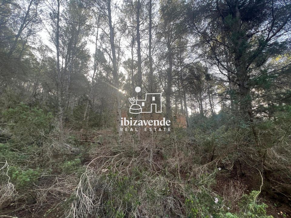 Finca i Santa Gertrudis De Fruitera, Ibiza - foto 4