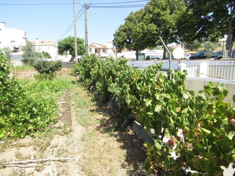 Helårsgrund i Sardoal, Santarem - foto 5
