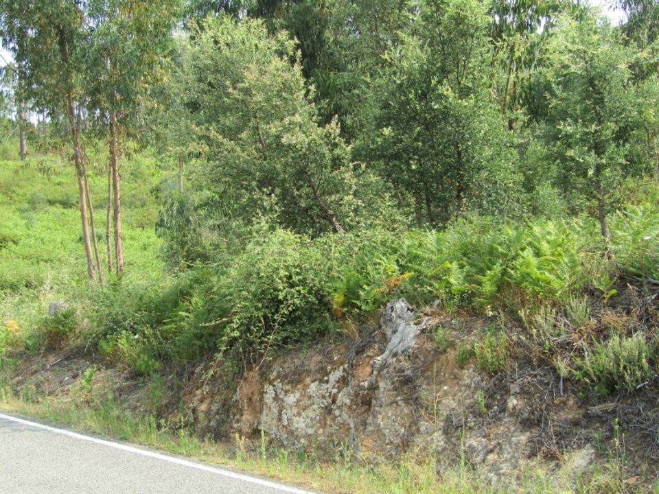 Helårsgrund i Sardoal, Santarem - foto 5