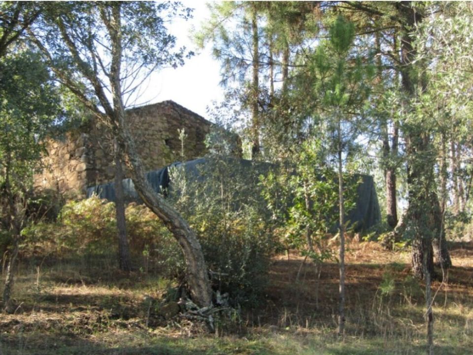 Helårsgrund i Mouriscas, Santarem - foto 1