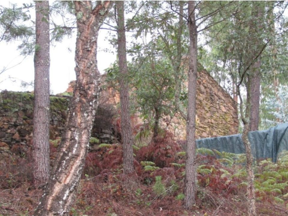 Helårsgrund i Mouriscas, Santarem - foto 4