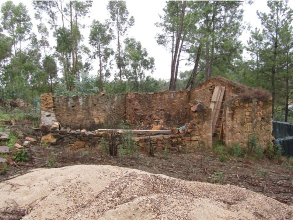 Helårsgrund i Mouriscas, Santarem - foto 5
