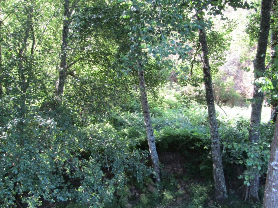 Helårsgrund i Sardoal, Santarem - foto 1