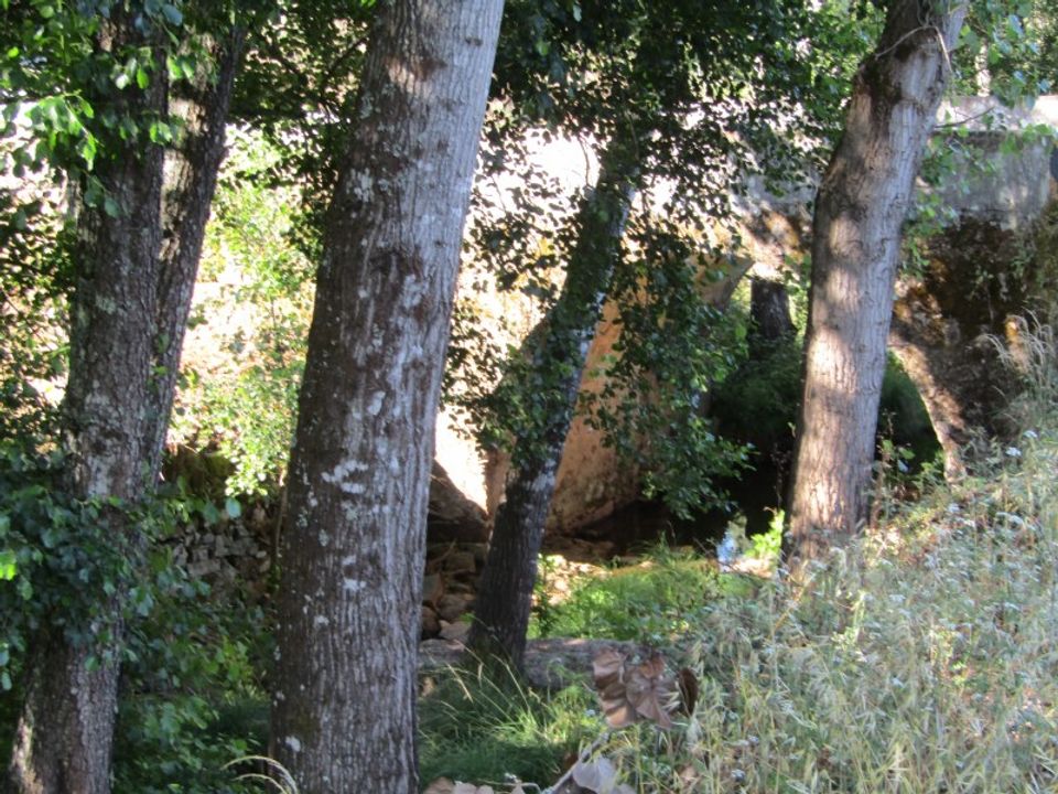 Helårsgrund i Sardoal, Santarem - foto 3