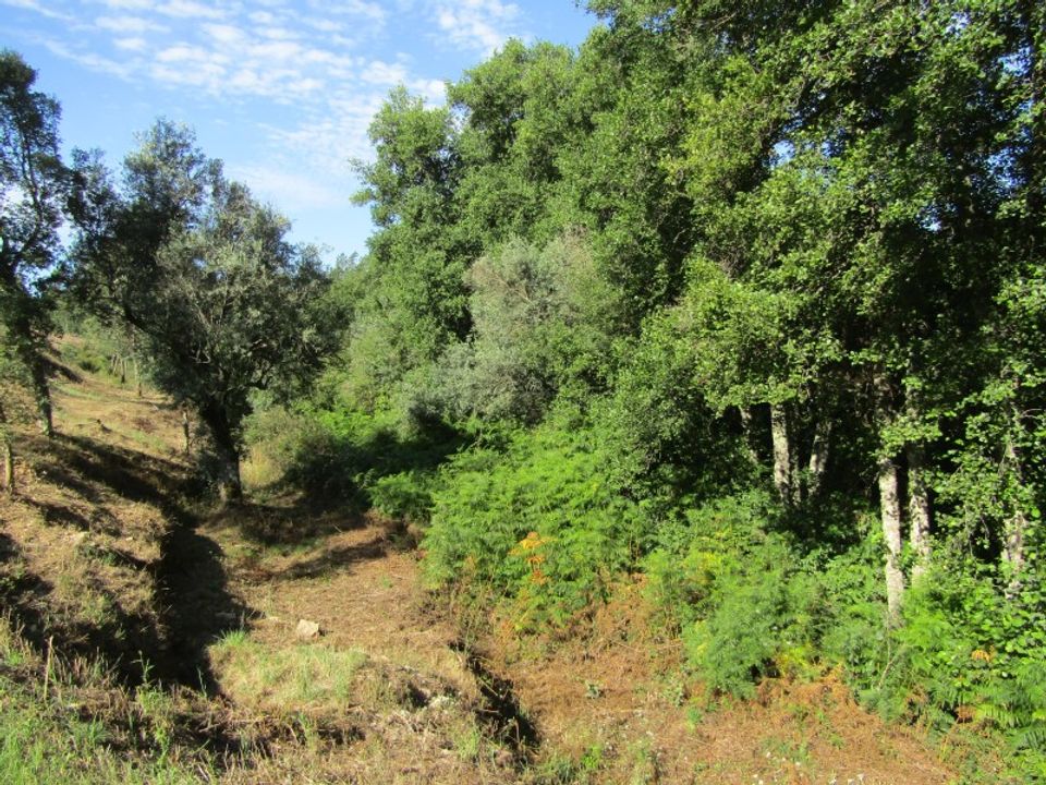Helårsgrund i Sardoal, Santarem - foto 5