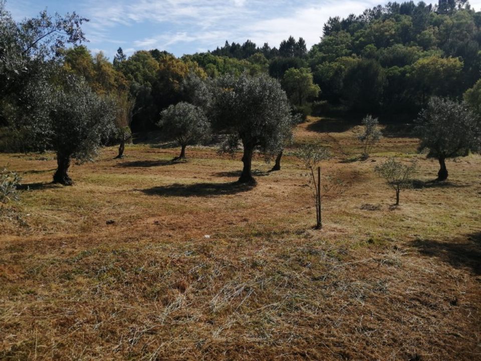 Helårsgrund i Sardoal, Santarem - foto 1