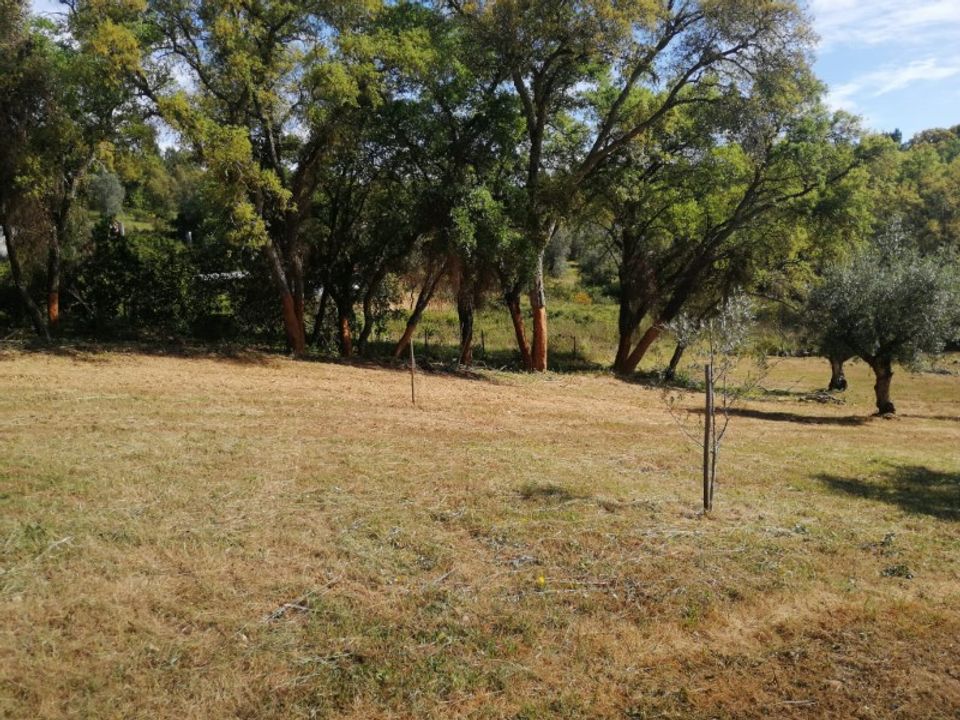 Helårsgrund i Sardoal, Santarem - foto 3