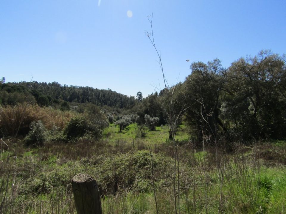 Helårsgrund i Sardoal, Santarem - foto 4