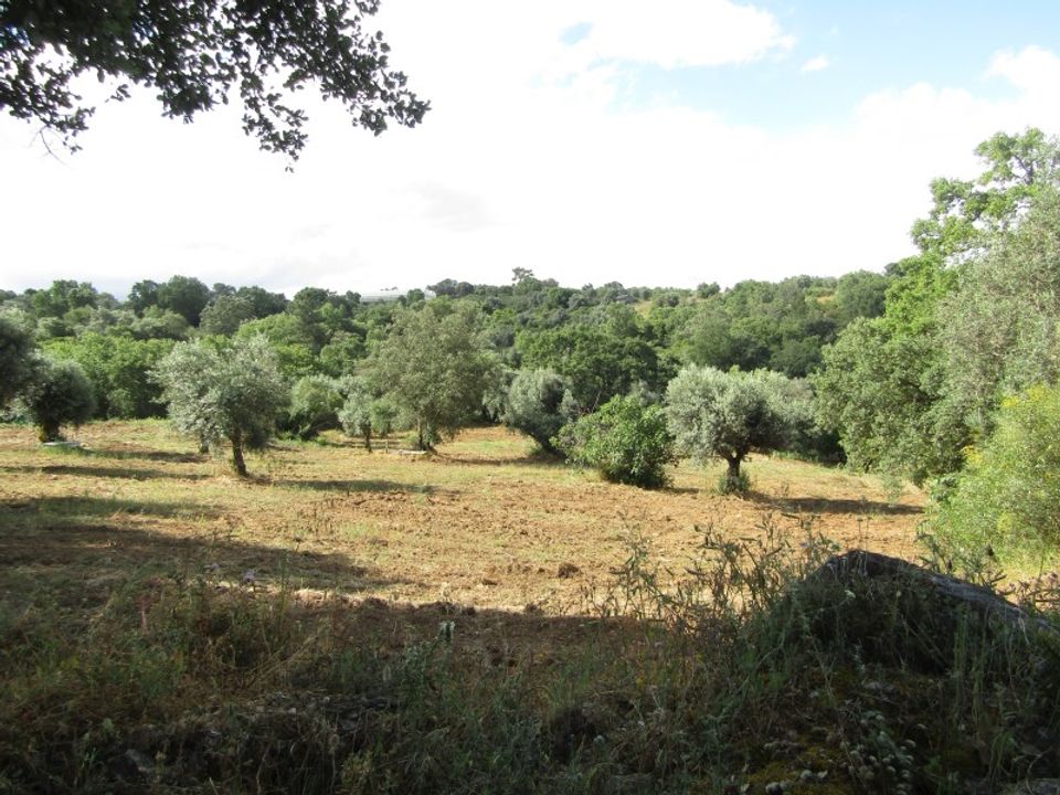 Helårsgrund i Mouriscas, Santarem - foto 1