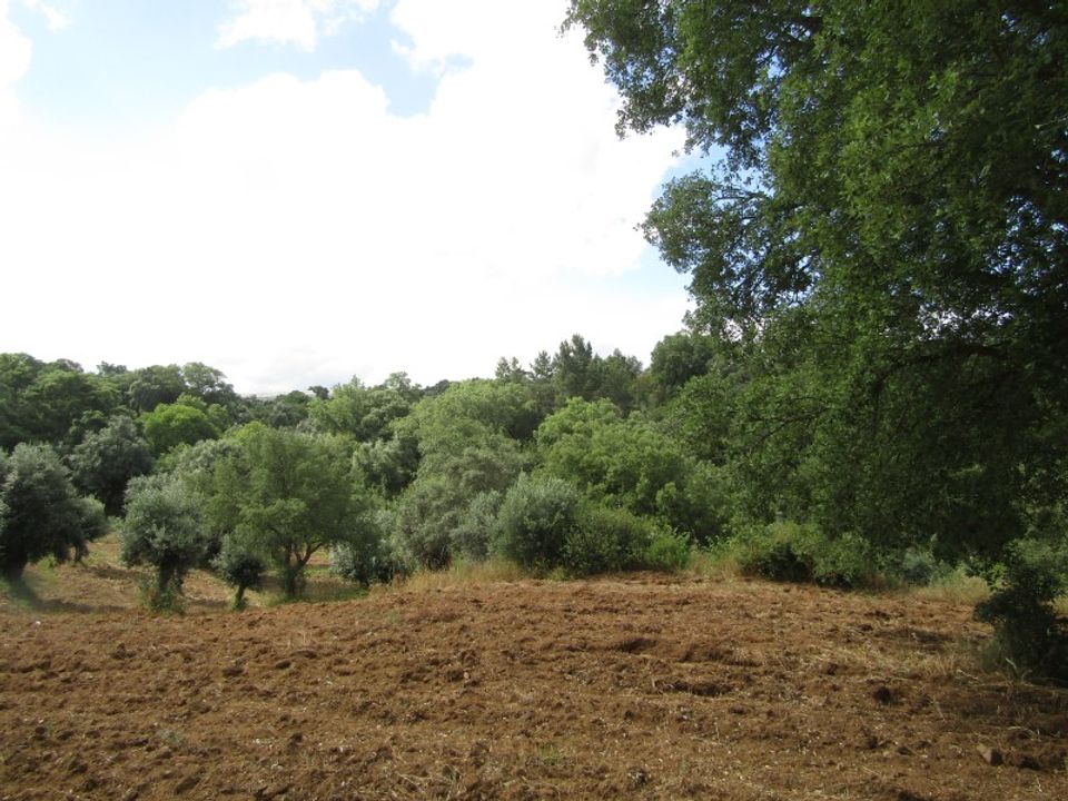 Helårsgrund i Mouriscas, Santarem - foto 4