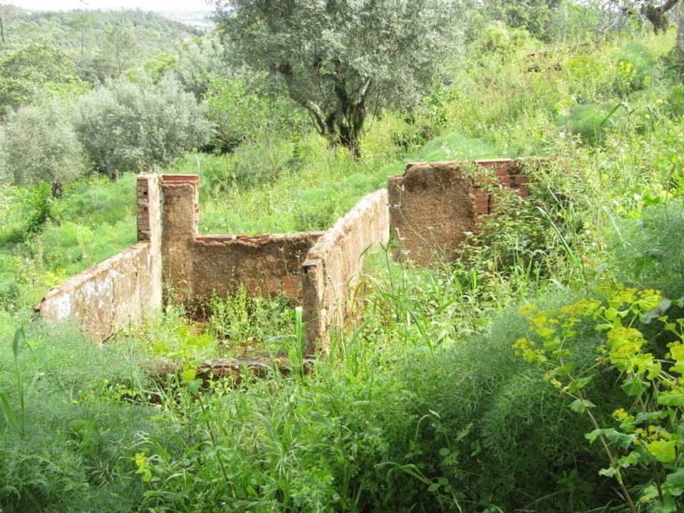 Helårsgrund i Tomar, Santarem - foto 1