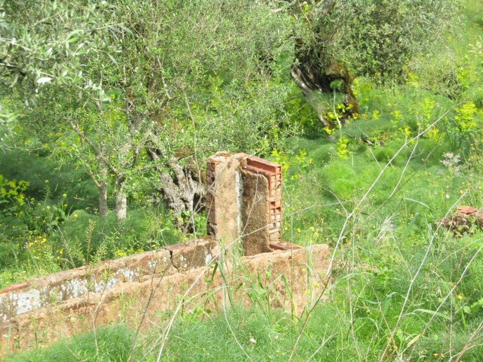 Helårsgrund i Tomar, Santarem - foto 3
