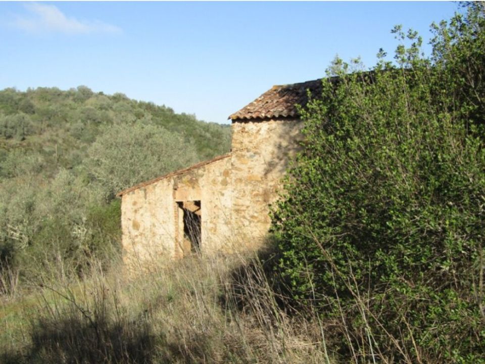 Helårsgrund i Abrantes, Santarem - foto 4
