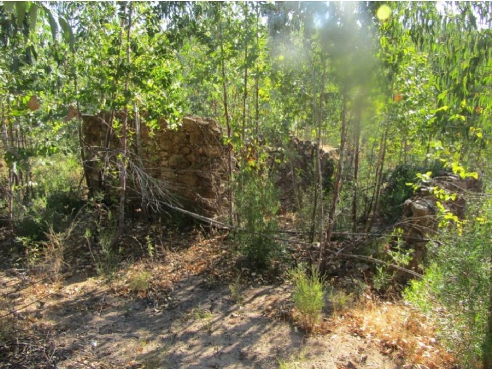 Helårsgrund i Sardoal, Santarem - foto 1