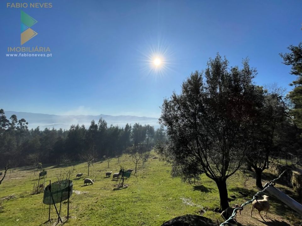 Helårsgrund i Arcos de Valdevez, Viana do Castelo - foto 5