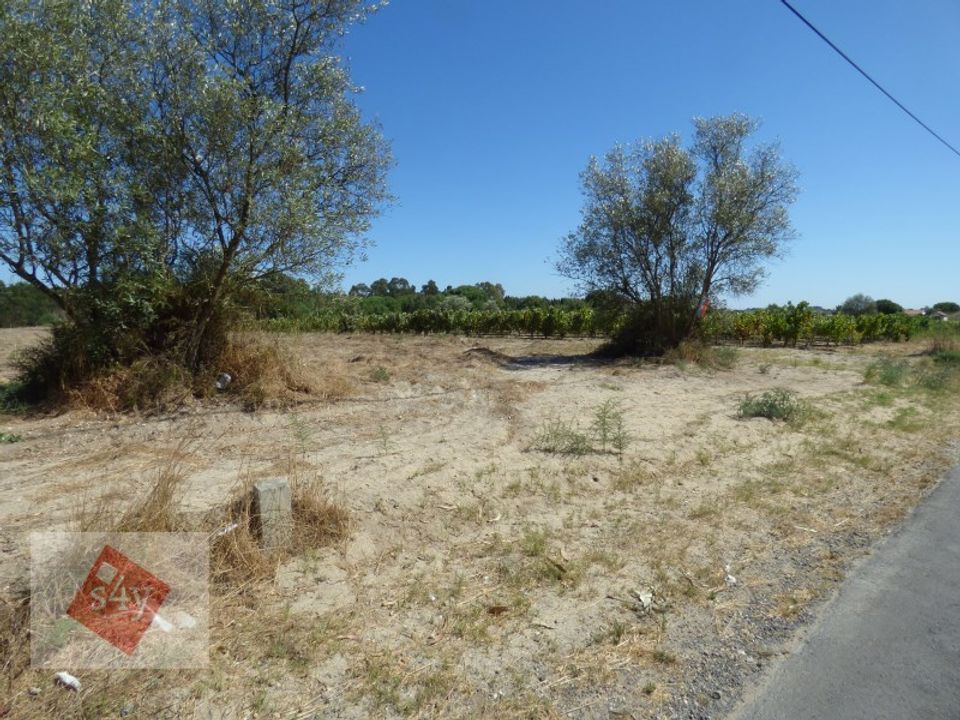 Helårsgrund i Montijo, Setubal - foto 4