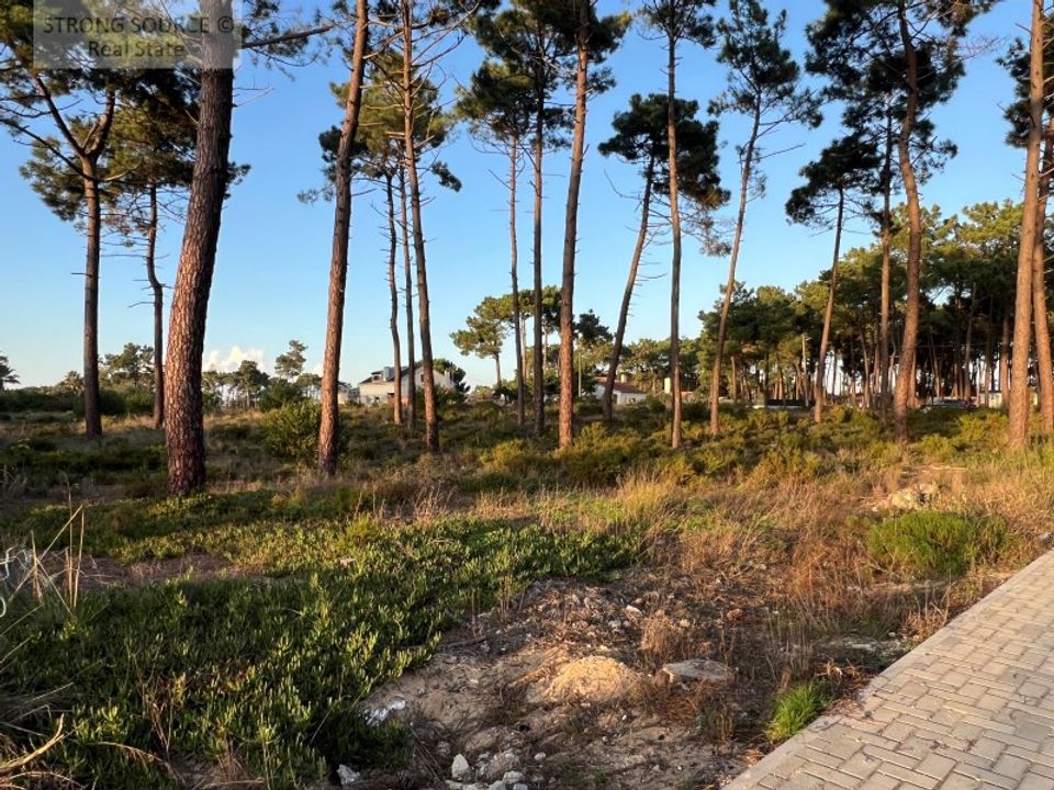 Helårsgrund i Almada, Setubal - foto 3