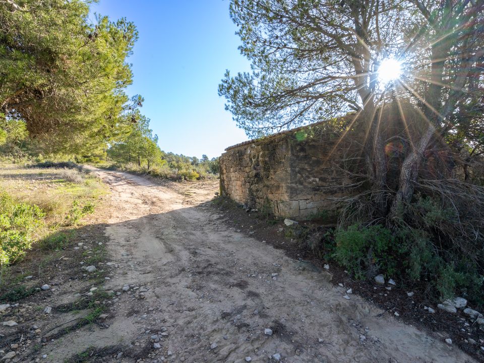 Finca i Horta De Sant Joan, Tarragona - foto 3