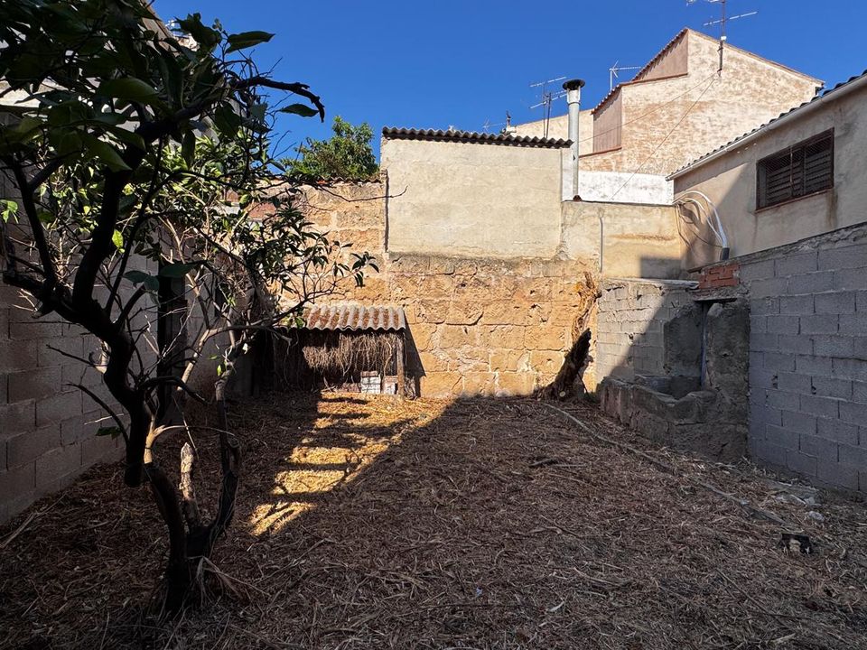 Helårsgrund i Andratx, Mallorca - foto 3