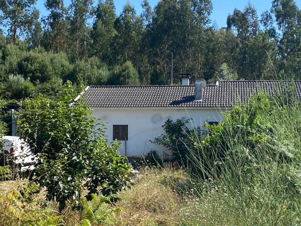 Farm i Santa Maria da Feira, Aveiro - foto 1