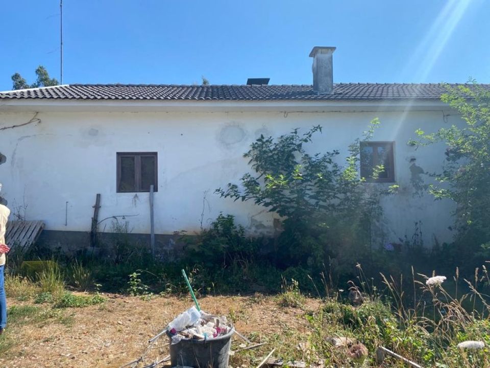 Farm i Santa Maria da Feira, Aveiro - foto 3