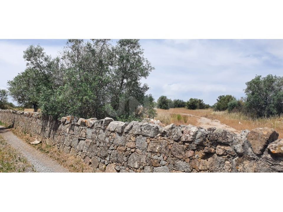 Helårsgrund i Reguengos de Monsaraz, Evora - foto 5