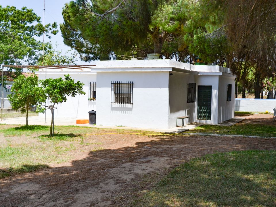 Landejendom i Chiclana De La Frontera, Cadiz - foto 5