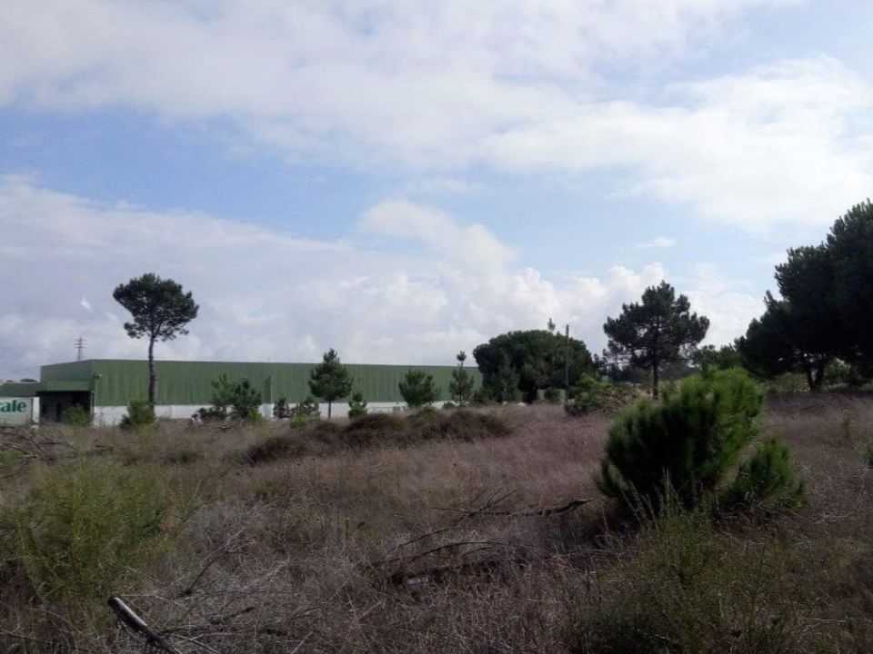 Erhvervsejendom i Ermidas do Sado, Setubal - foto 1