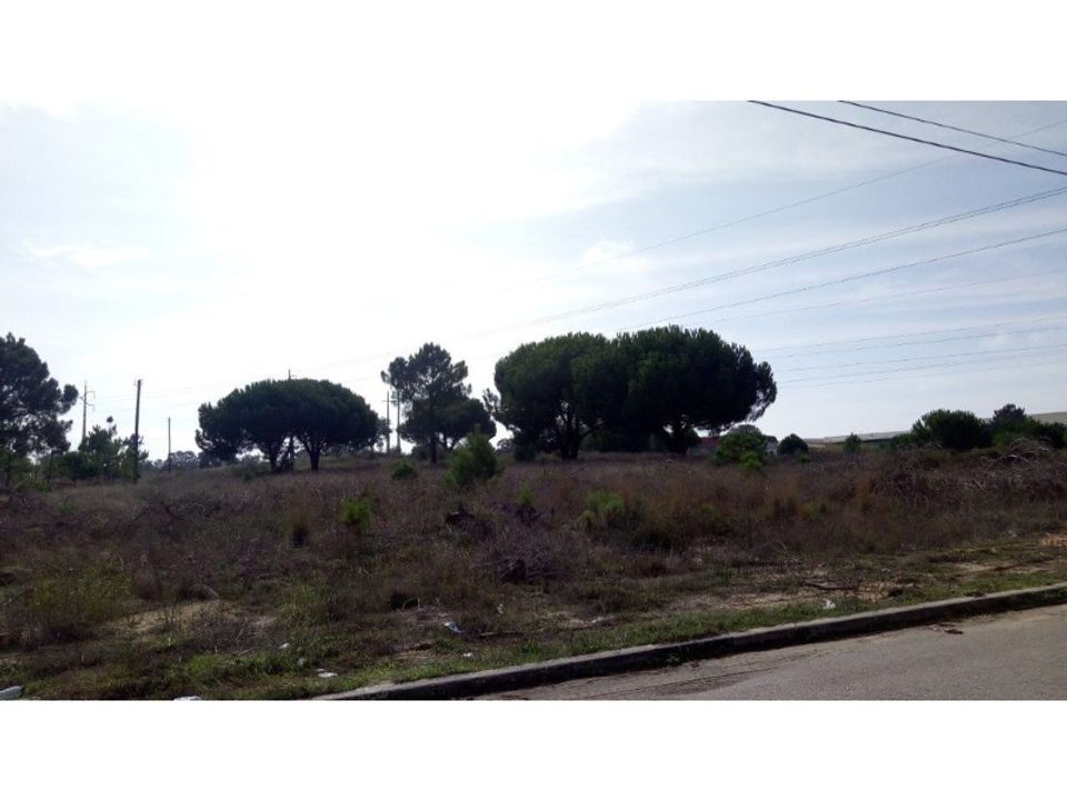 Erhvervsejendom i Ermidas do Sado, Setubal - foto 5