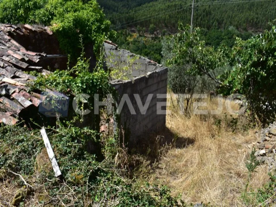 Helårsgrund i Figueiro dos Vinhos, Leiria - foto 1