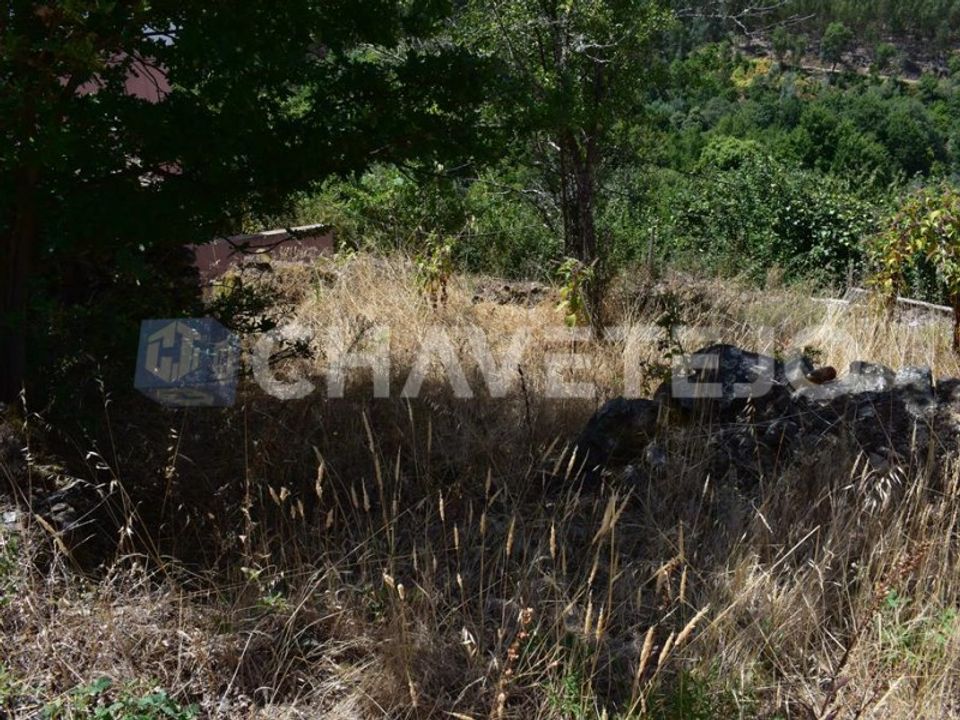 Helårsgrund i Figueiro dos Vinhos, Leiria - foto 3