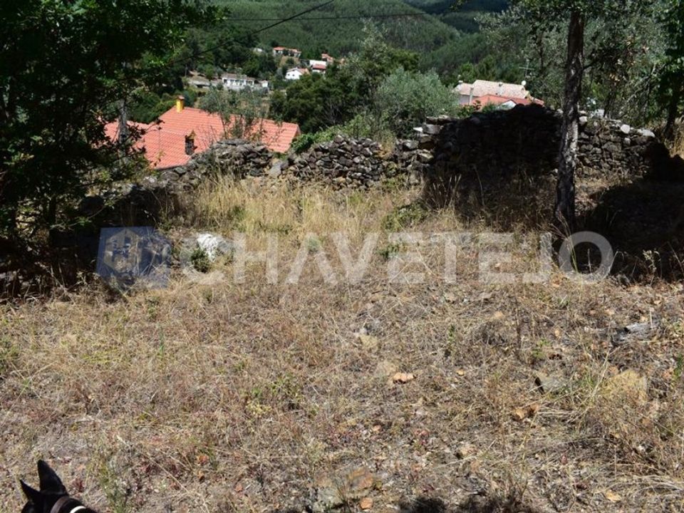 Helårsgrund i Figueiro dos Vinhos, Leiria - foto 4