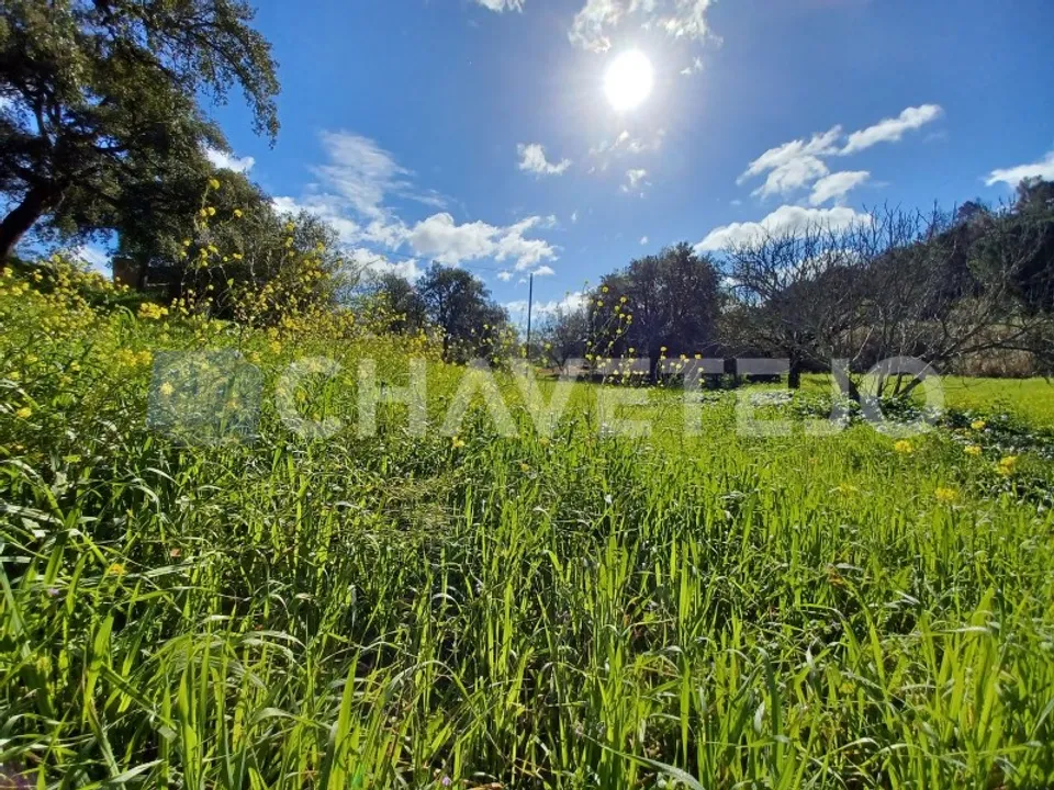 Helårsgrund i Tomar, Santarem - foto 1