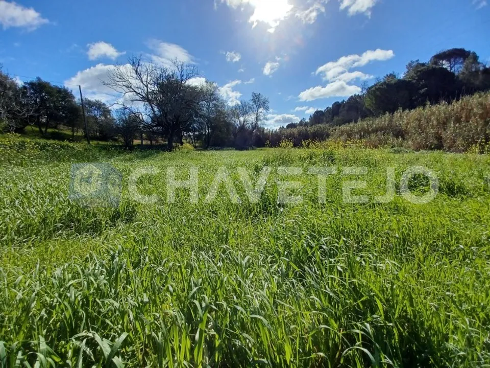 Helårsgrund i Tomar, Santarem - foto 5