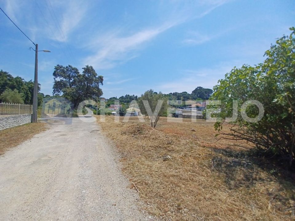 Helårsgrund i Tomar, Santarem - foto 5
