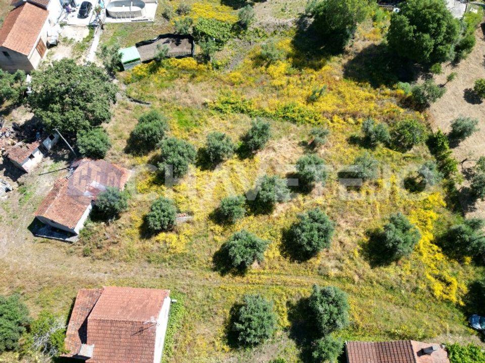 Helårsgrund i Ourem, Santarem - foto 2