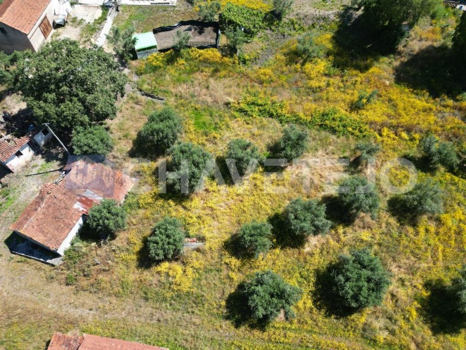 Helårsgrund i Ourem, Santarem - foto 3